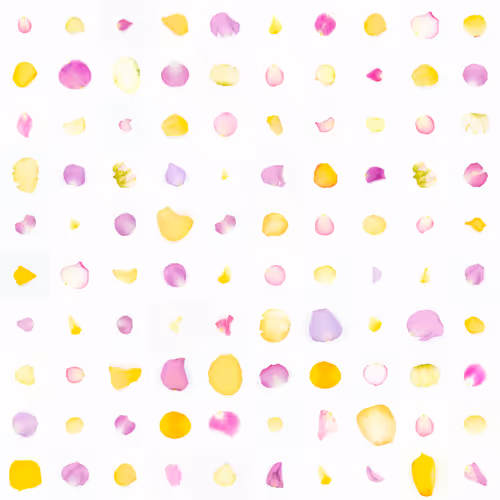 Infinite Petals By Sarah Meyohas