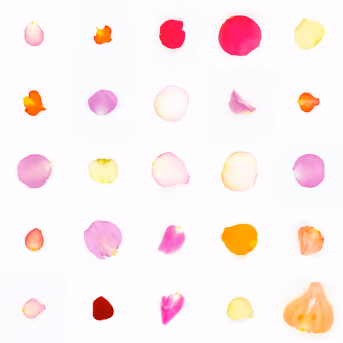 Infinite Petals By Sarah Meyohas