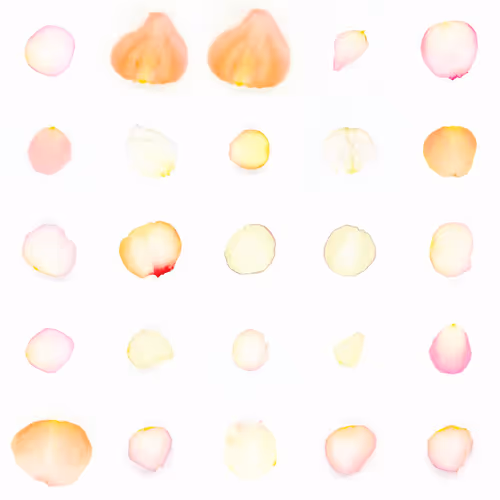 Infinite Petals 5x5#1656