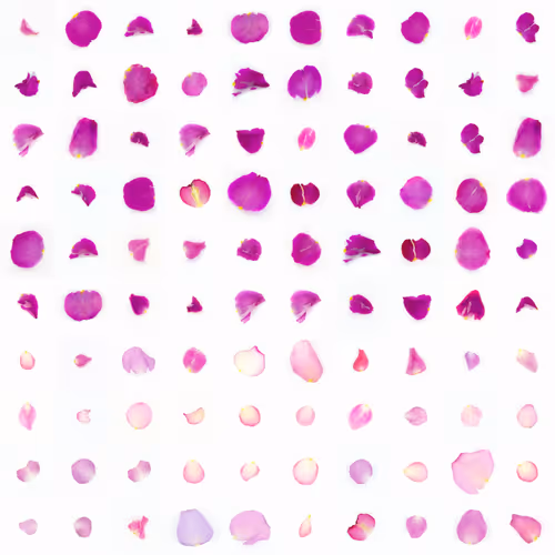 Infinite Petals By Sarah Meyohas