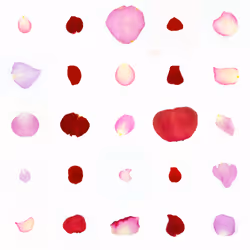 Infinite Petals 5x5#2823