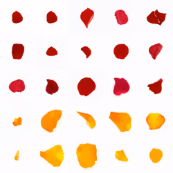 Infinite Petals 5x5#20141