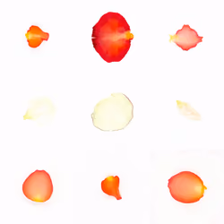 Infinite Petals 3x3#260