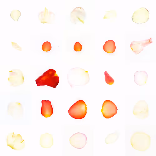 Infinite Petals 5x5#20344