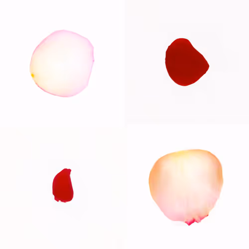 Infinite Petals 2x2#20117
