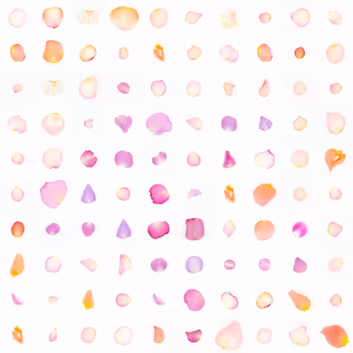 Infinite Petals By Sarah Meyohas
