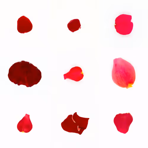 Infinite Petals 3x3#3697
