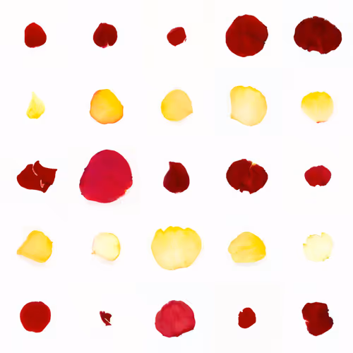 Infinite Petals 5x5#20938