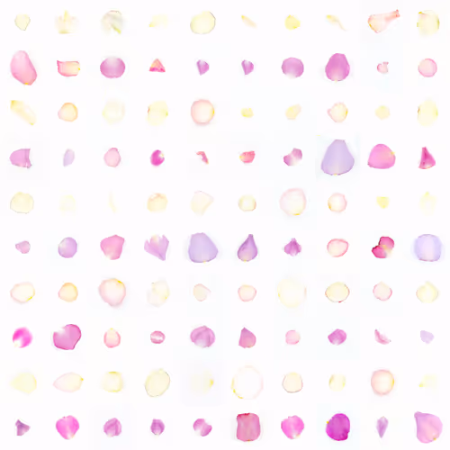 Infinite Petals 10x10#521