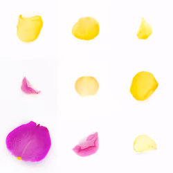 Infinite Petals 3x3#2431