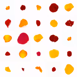 Infinite Petals 5x5#478