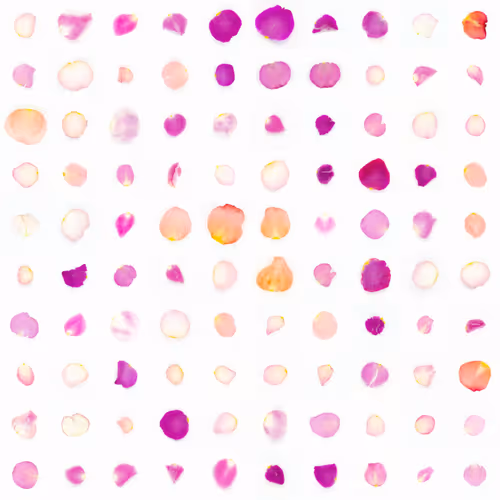 Infinite Petals 10x10#662