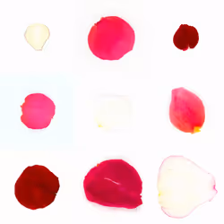 Infinite Petals 3x3#66