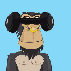 Anonymous Ape 15