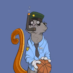 Angry Meerkats #5658
