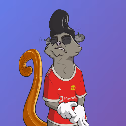 Angrymeerkatsnft