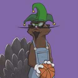 Angry Meerkats #6338