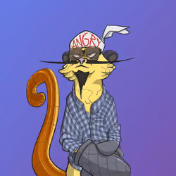 Angry Meerkats #4681
