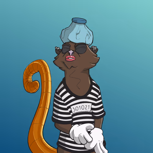 Angrymeerkatsnft