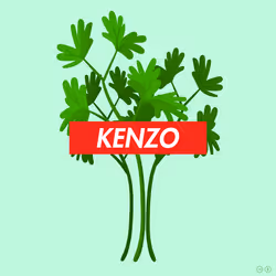740