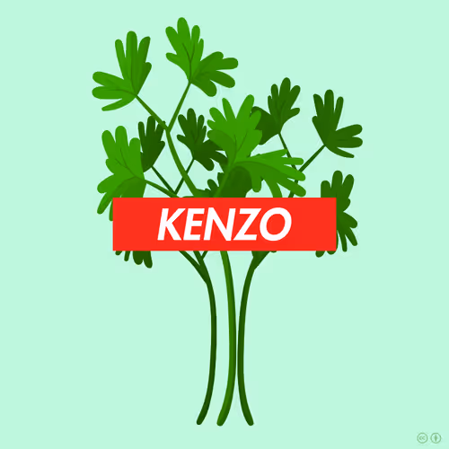 Item #740 Media