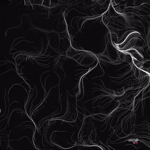 Source Code to FREEDOM x Crisvond #221