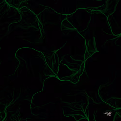 Source Code to FREEDOM x Crisvond #147