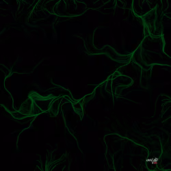 Source Code to FREEDOM x Crisvond #32