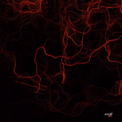 Source Code to FREEDOM x Crisvond #149