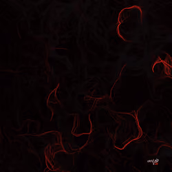 Source Code to FREEDOM x Crisvond #156