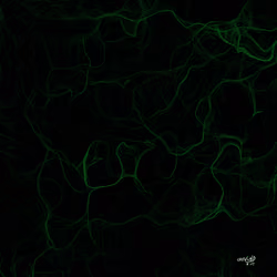 Source Code to FREEDOM x Crisvond #164