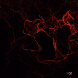 Source Code to FREEDOM x Crisvond #281