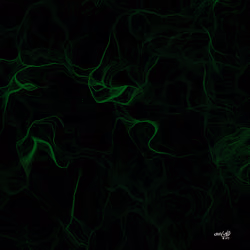 Source Code to FREEDOM x Crisvond #39