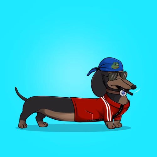 Degenerate Dachshunds Official