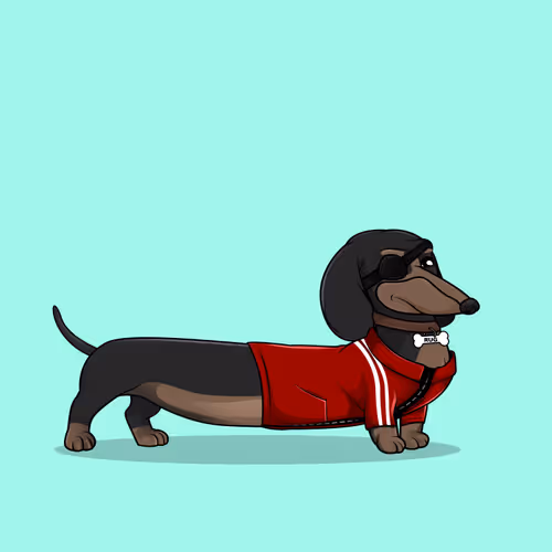 Degenerate Dachshunds Official