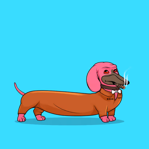 Degenerate Dachshunds Official