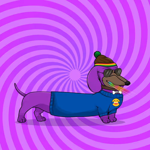 Degenerate Dachshunds Official