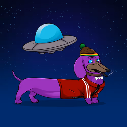 Degenerate Dachshunds Official