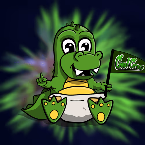 Baby Crocs