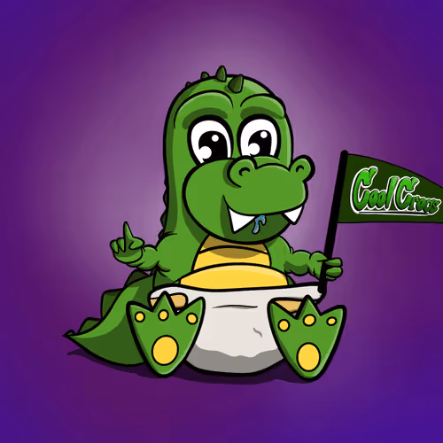 Baby Crocs #40