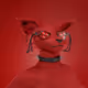 264