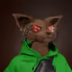 669