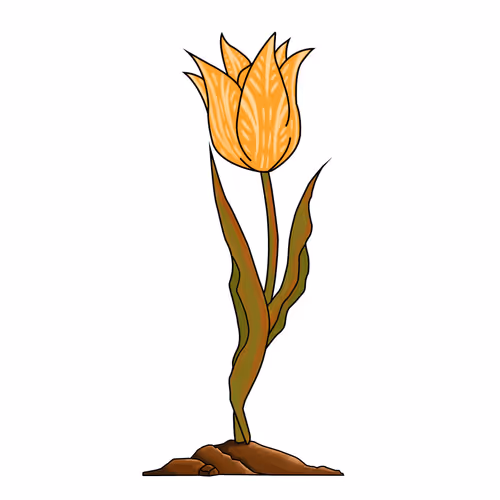 Ethertulip