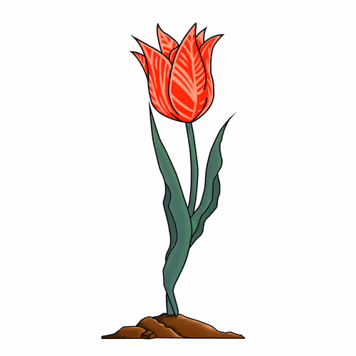Ethertulip