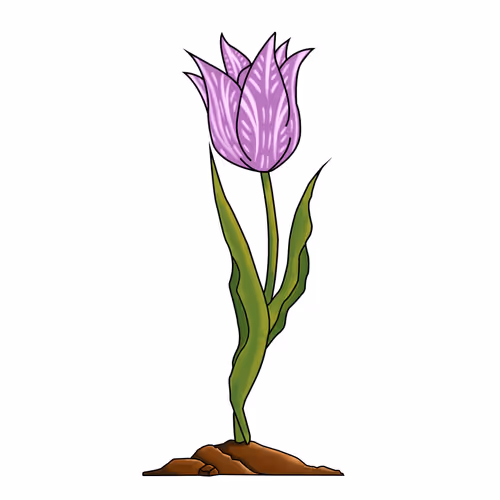 EtherTulip #06