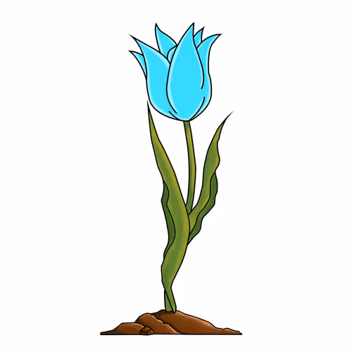 EtherTulip #67