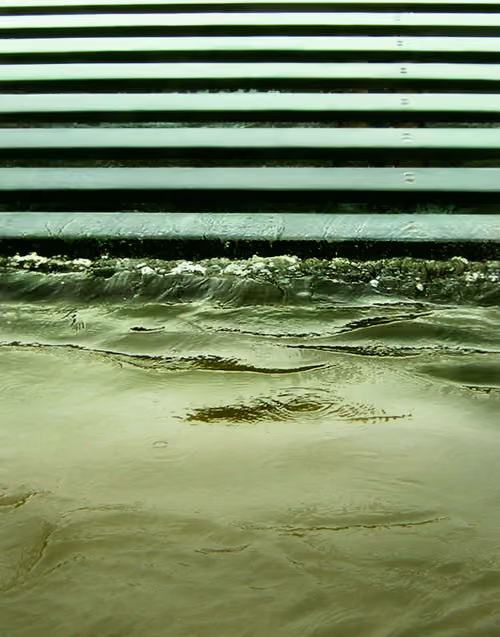 Untitled | From Running Water Series