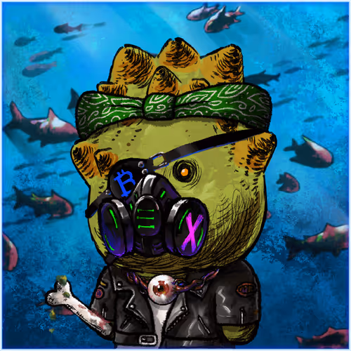 Marine Blues Reboot Club
