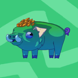 Pig #0737