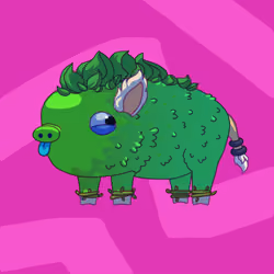 Pig #0518